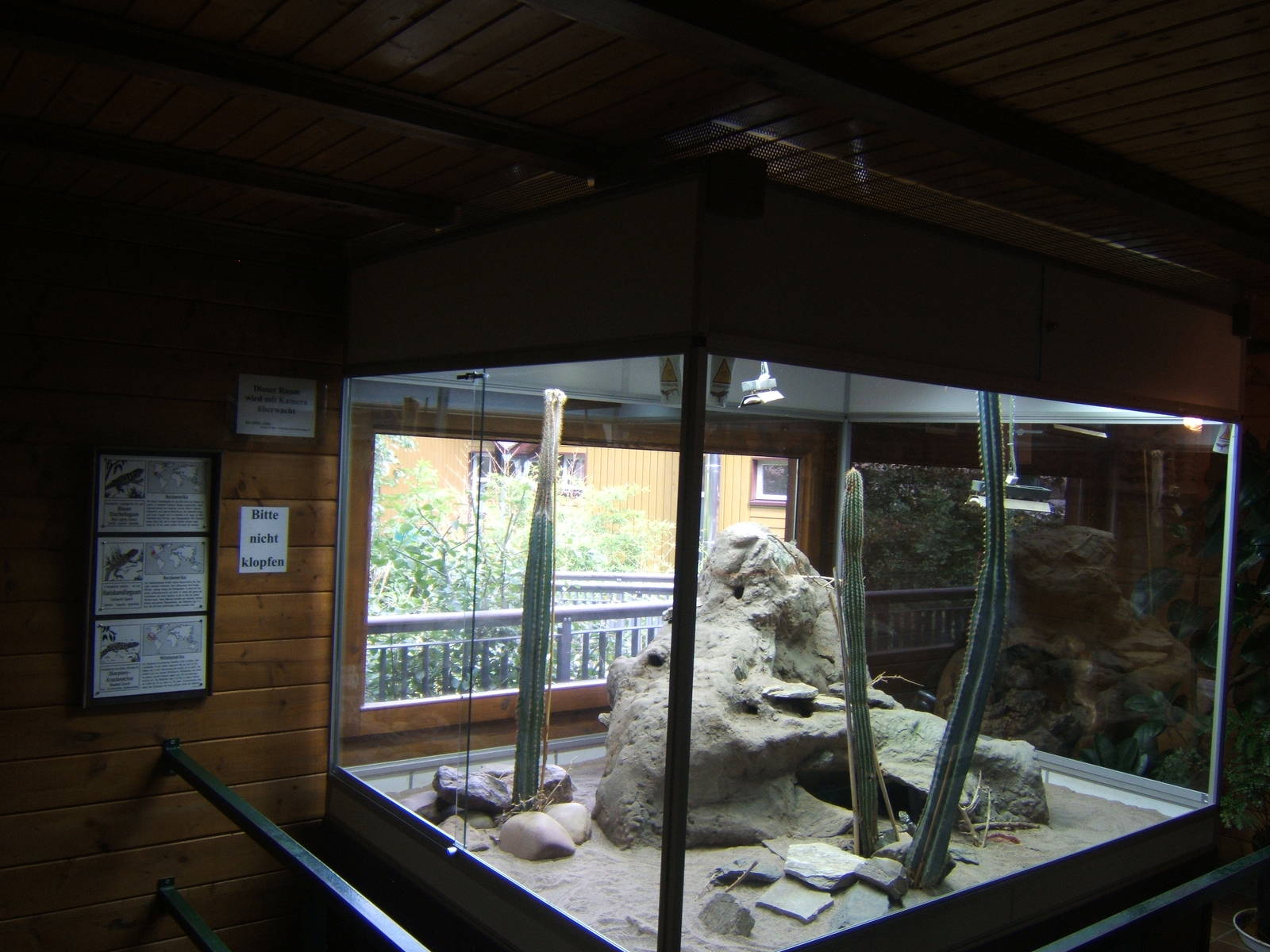 View of Reptile exhibit