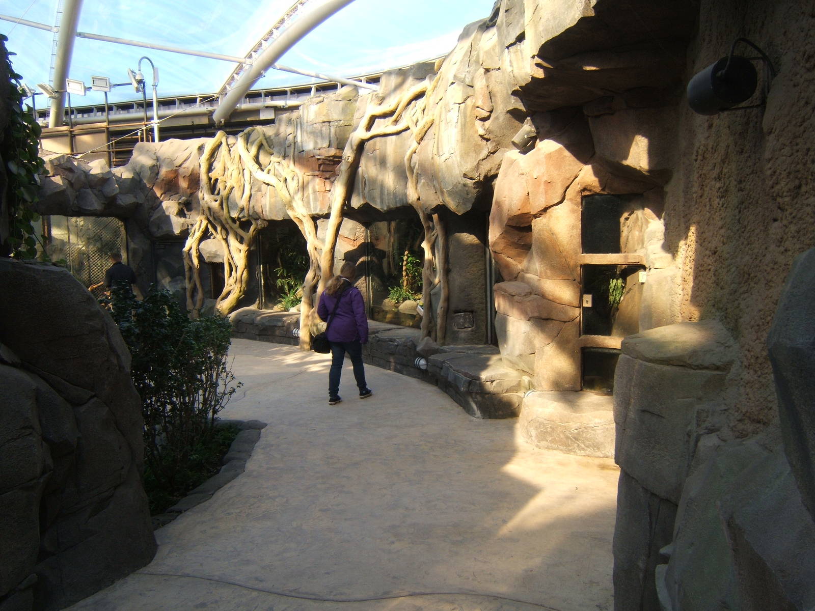 View of Reptile exhibits in Monsoon Forest