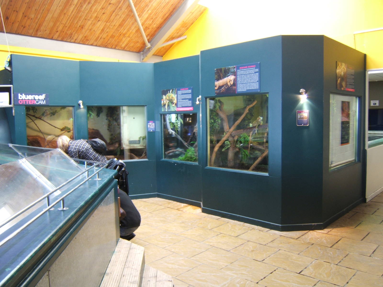 View of reptile exhibits