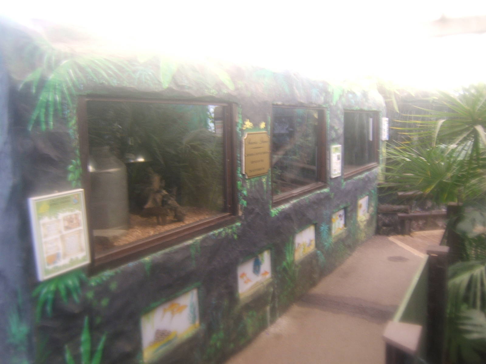 View of Reptile exhibits