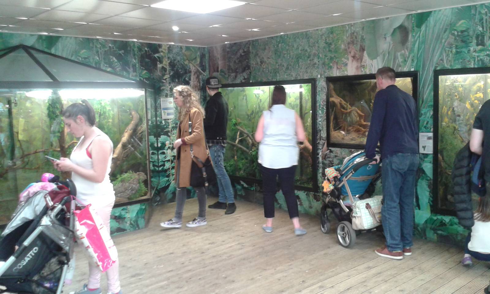 View of Reptile exhibits