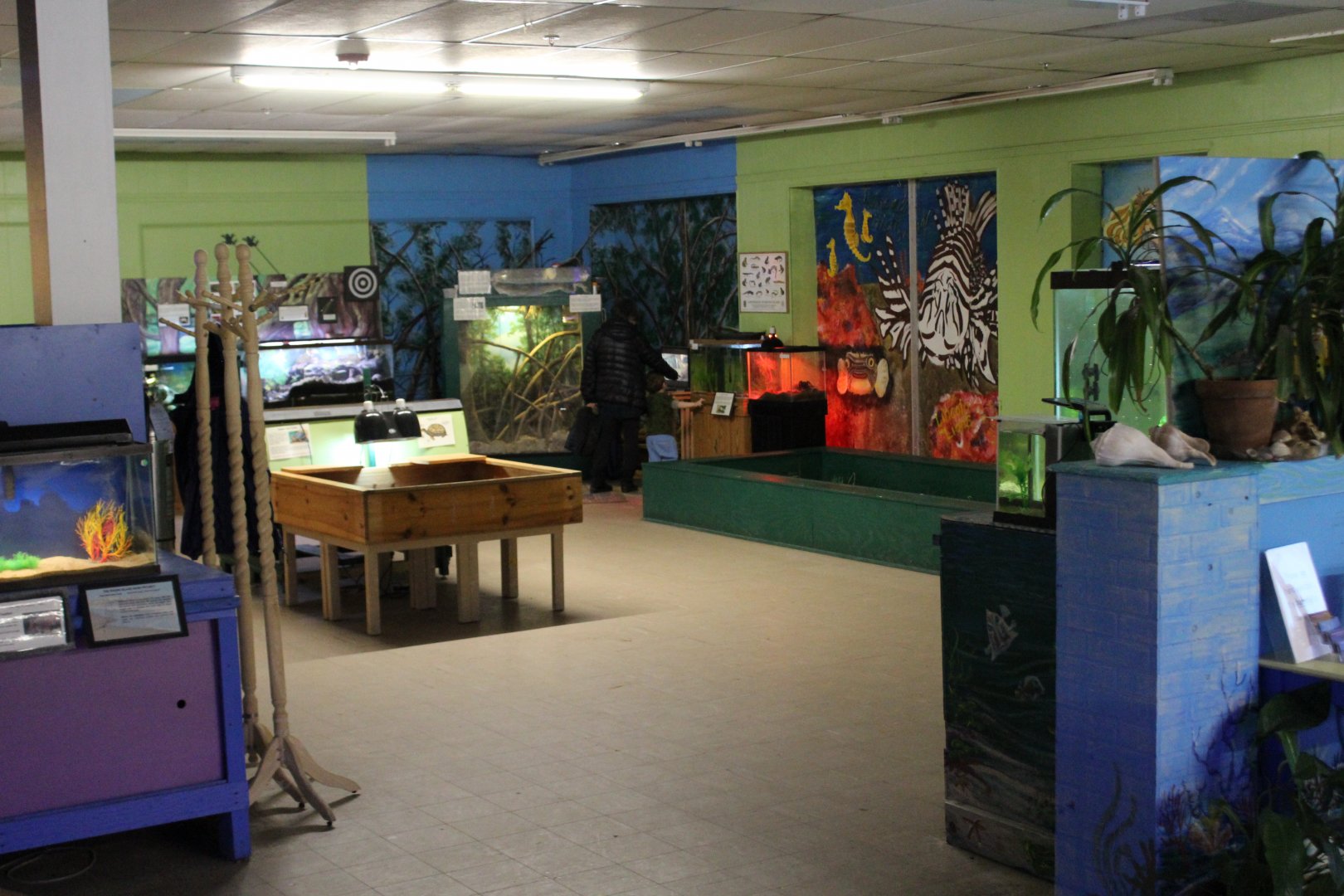View of Reptile Exhibits