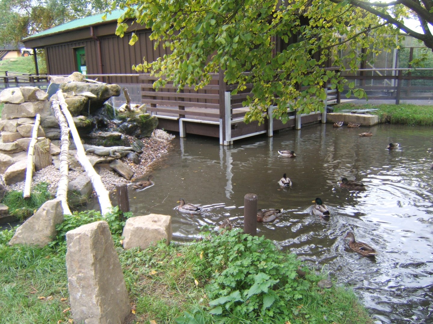 View of Reptile House extension