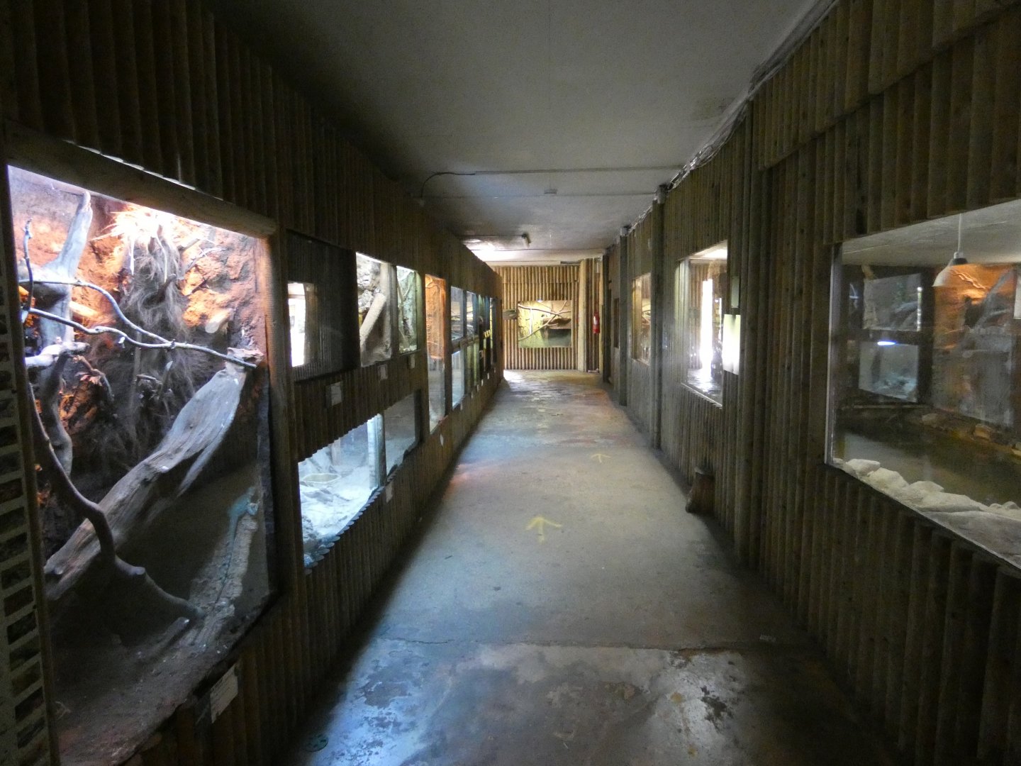 View of Reptile House