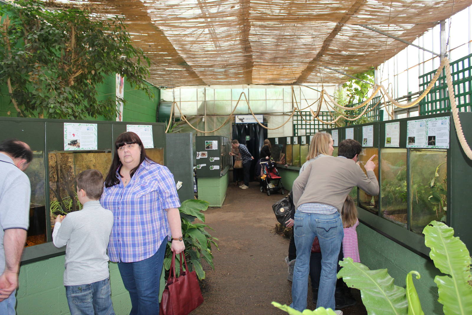 View of reptile/insect room
