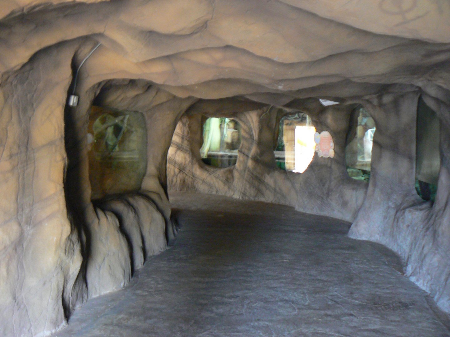 View of Reptile River - 23 Macrh 2017