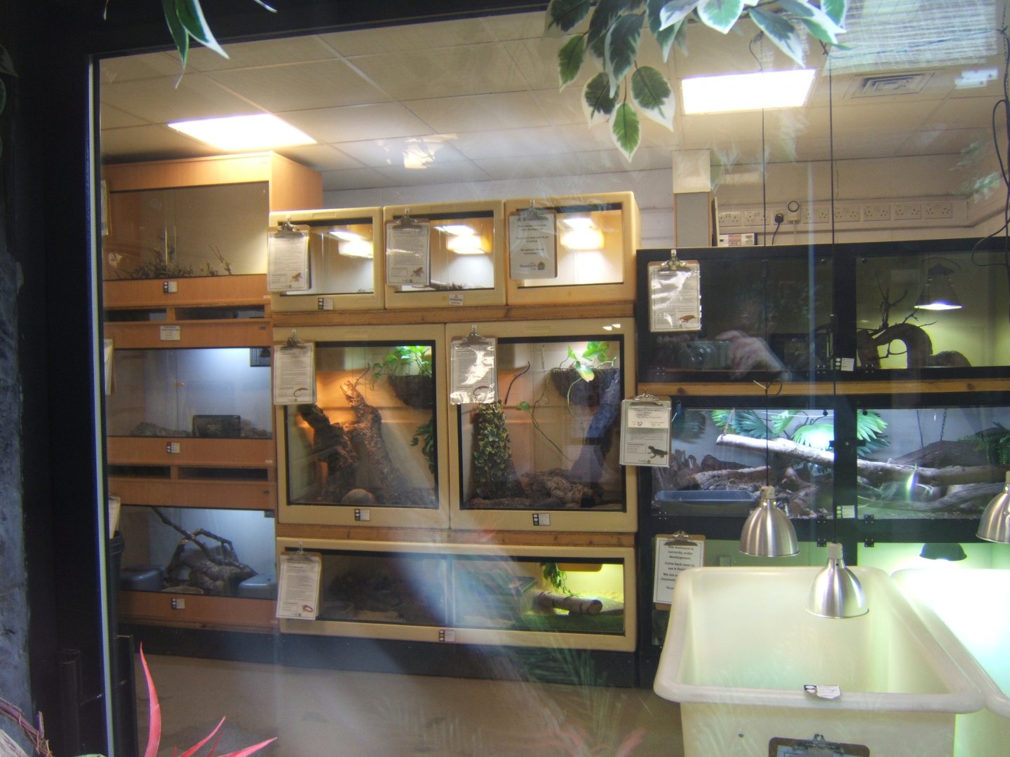 View of reptile room 16/04/2019