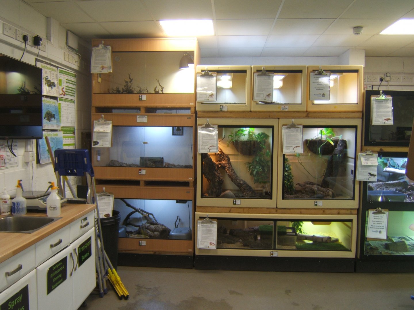 View of reptile room 16/04/2019