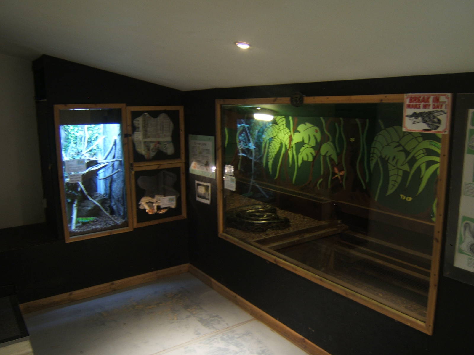 View of reptile rooms