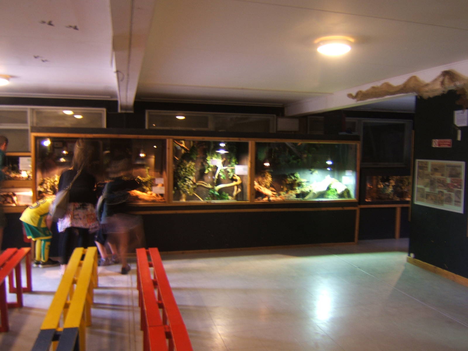 View of reptile rooms