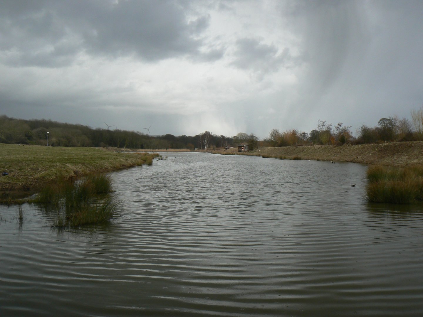 View of Reserve - 28 March 2018