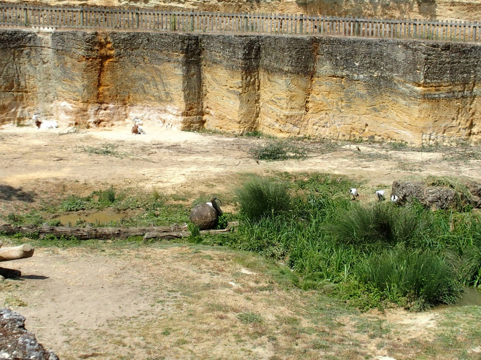 view of RH side from centre vantage point