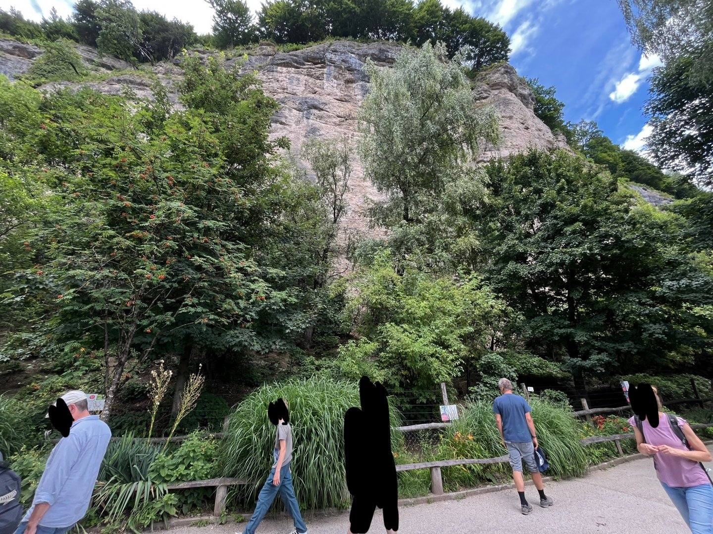 View of Rhea and Mara enclosure 13.7.25