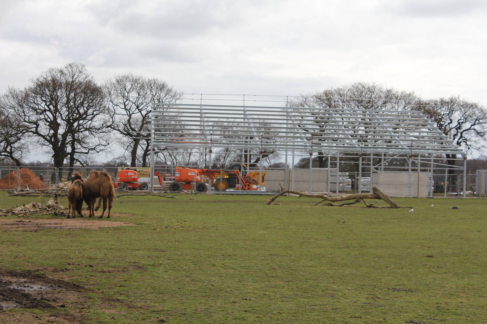 View of rhino house 6-3-16