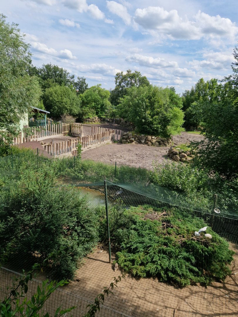 View of rhinoceros enclosure and bird aviary