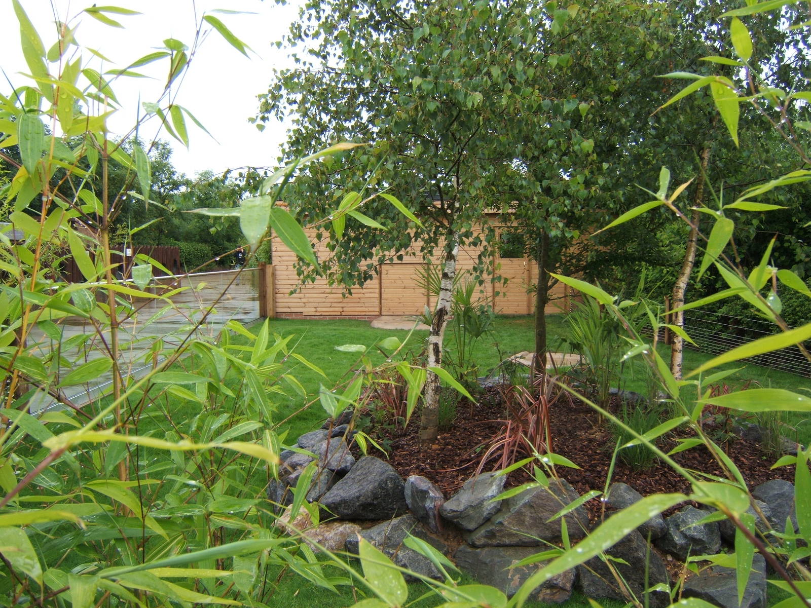 View of right hand side outdoor Tortoise exhibit