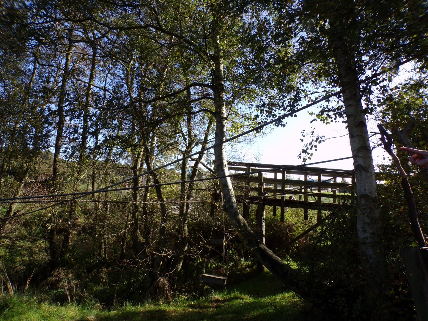 View of ring-tailed and red-fronted lemur enclosure 14.10.23