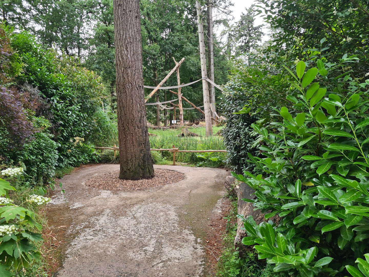 View of Ring-tailed lemur island
