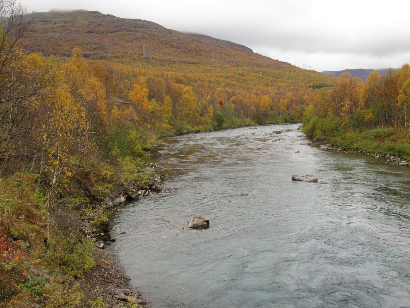 View of river that runs through the zoo