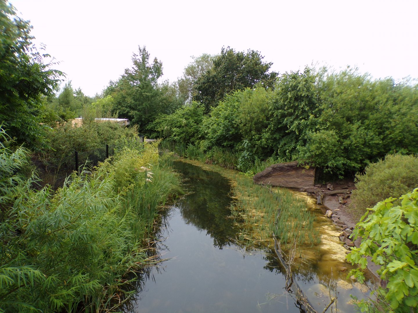 View of riverboat ride in Islands 29.6.24