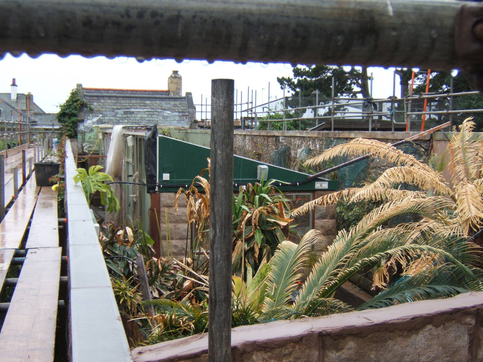 View of roofless Reptile House