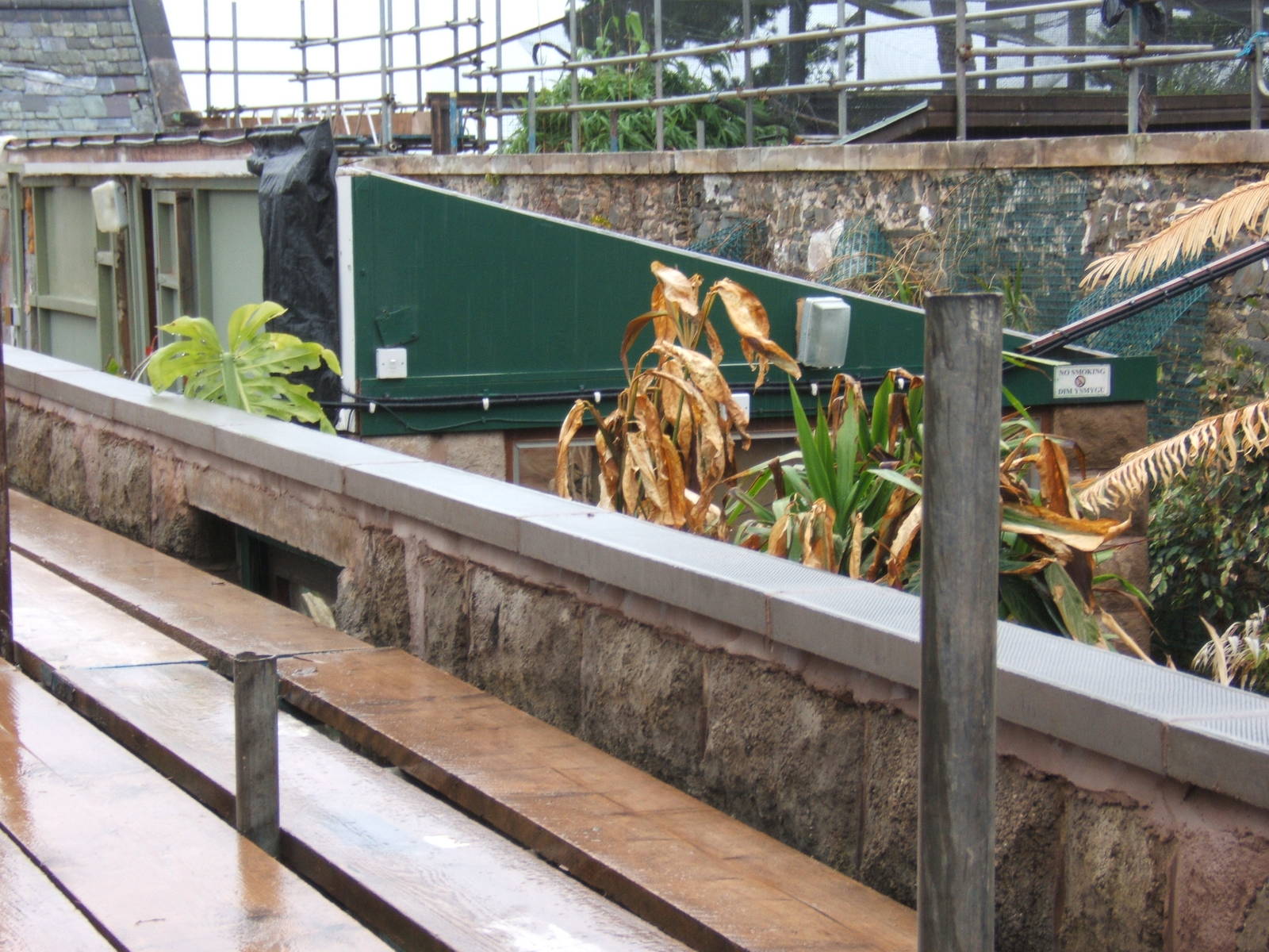 View of roofless Reptile House