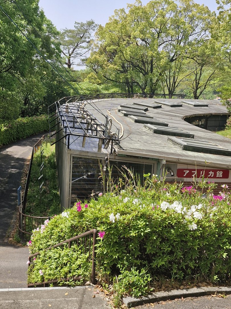 View of row of cages