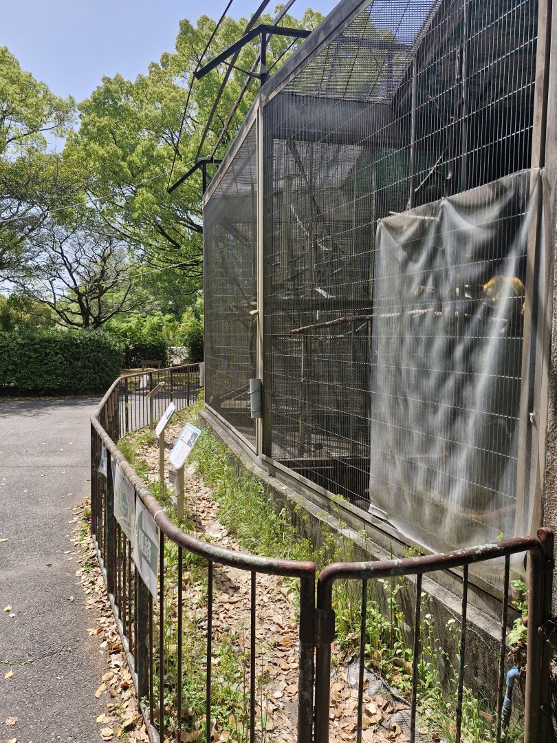 View of row of cages