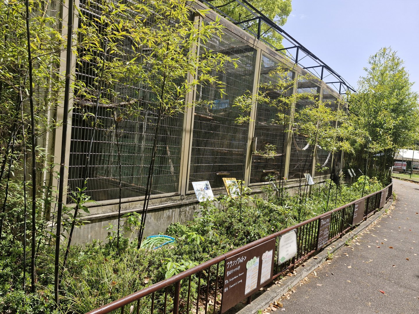 View of row of cages