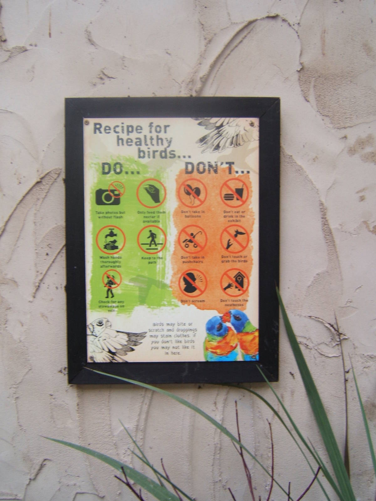 View of rules Lorikeet Landings