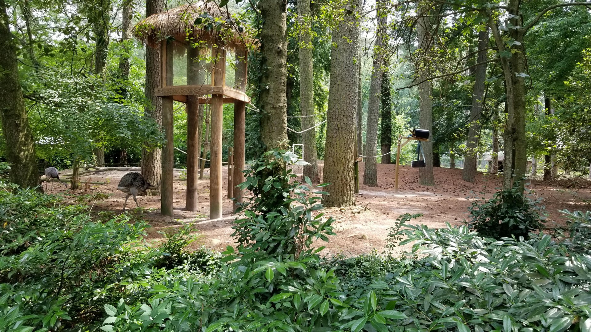 View of S. American exhibit from main path