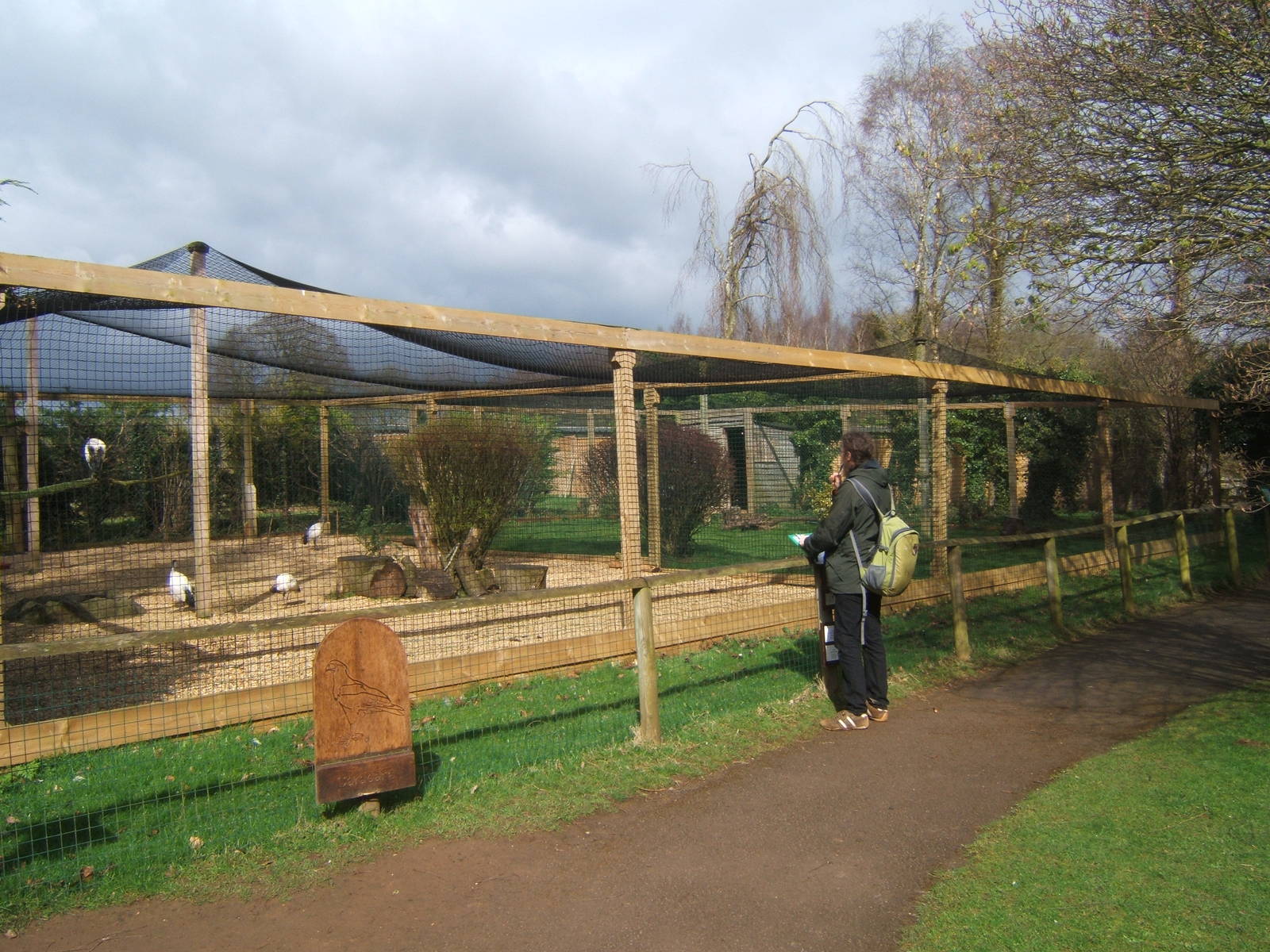 View of Sacred Ibis aviary
