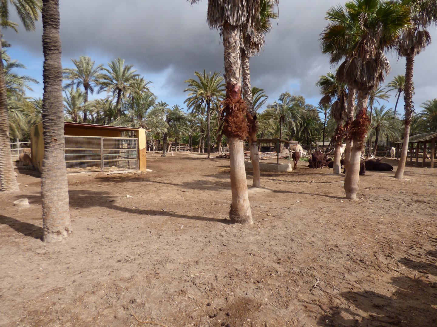 View of Safari Area 2