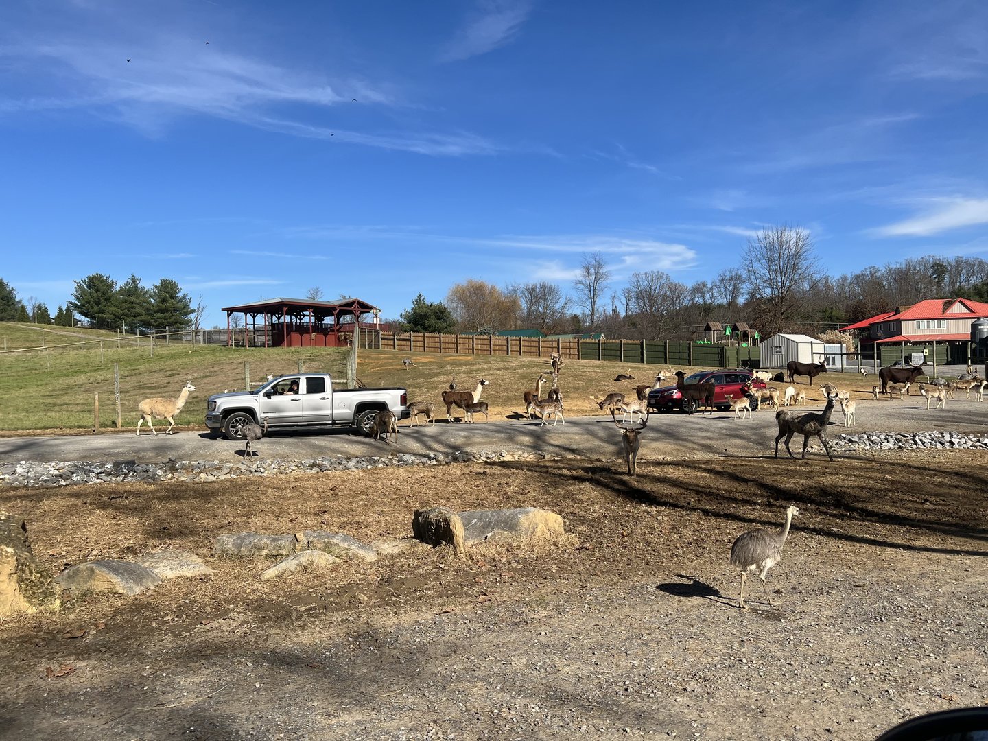 View of Safari Park Entrance