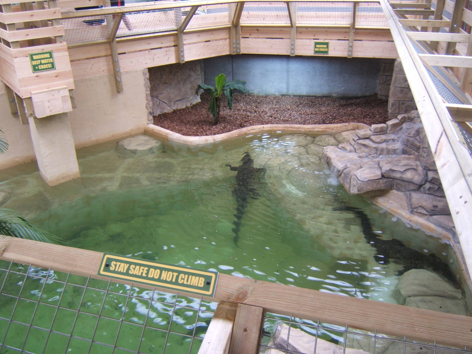 View of Salt Water Crocodile enclosure