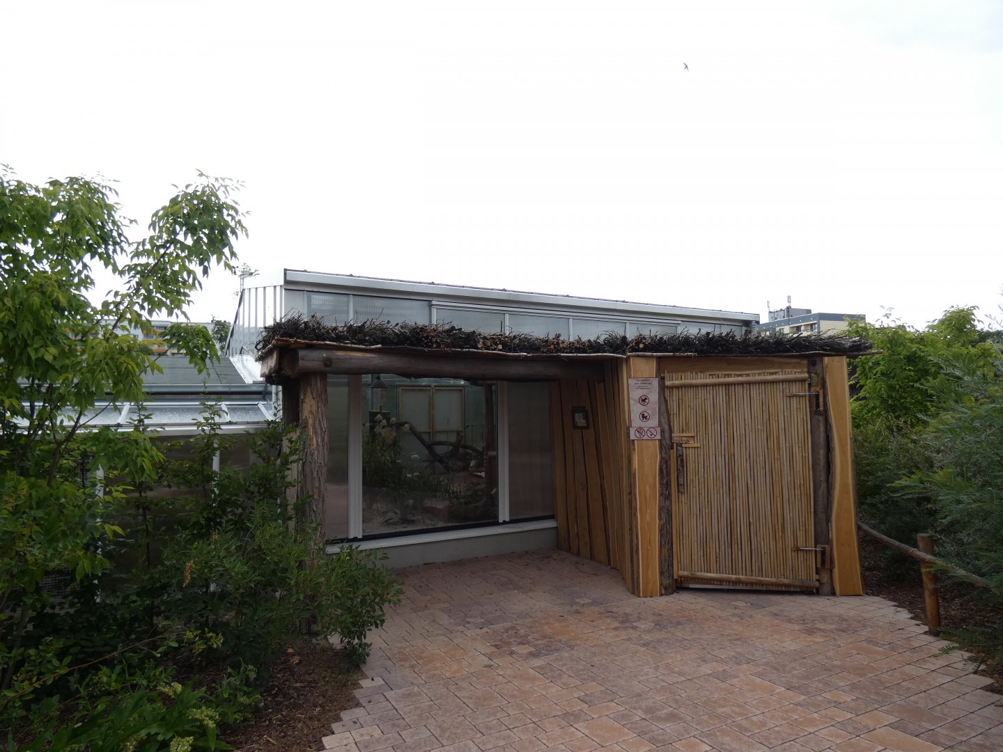 View of Sand Cat House