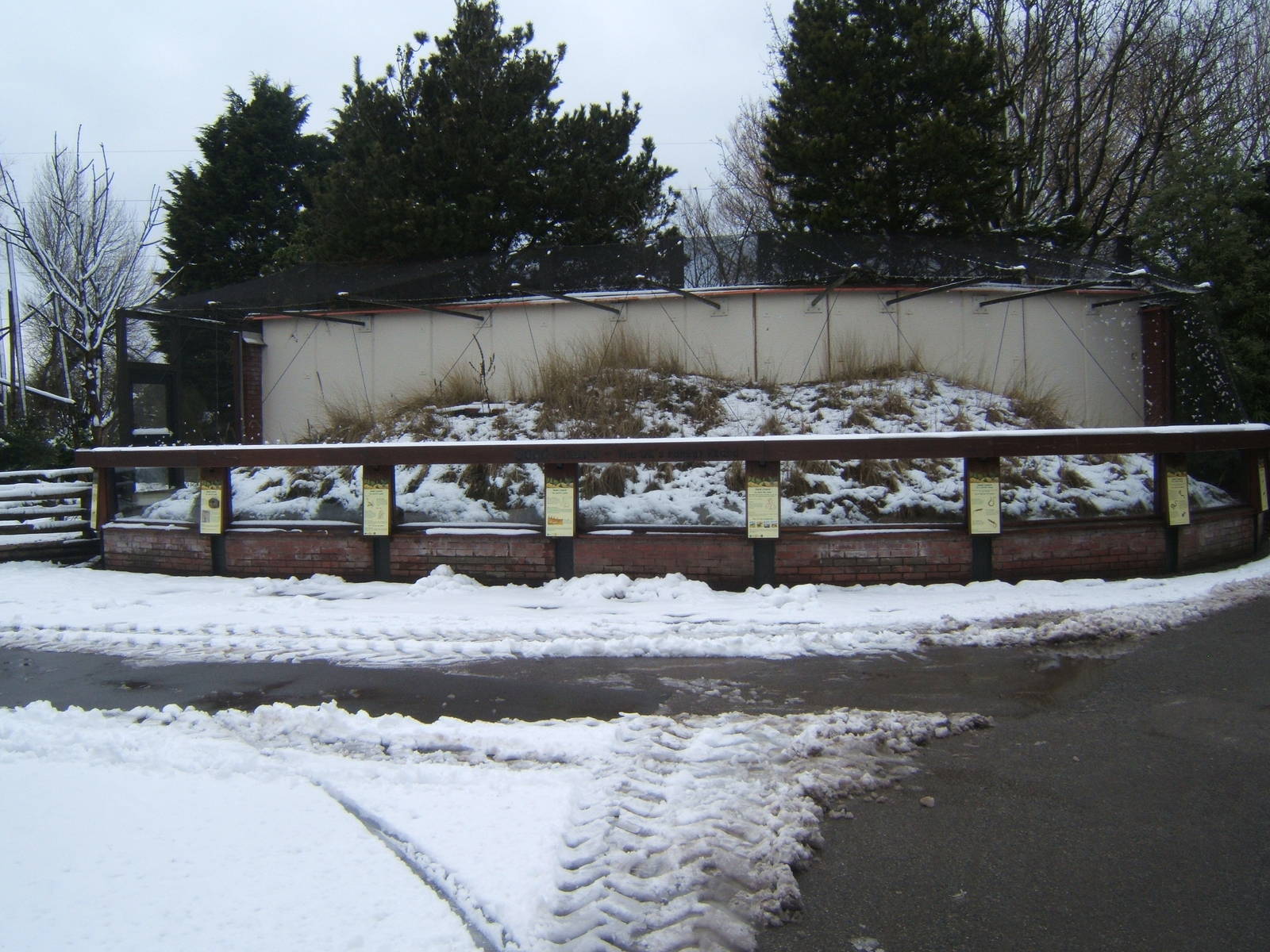 View of Sand Lizard exhibit