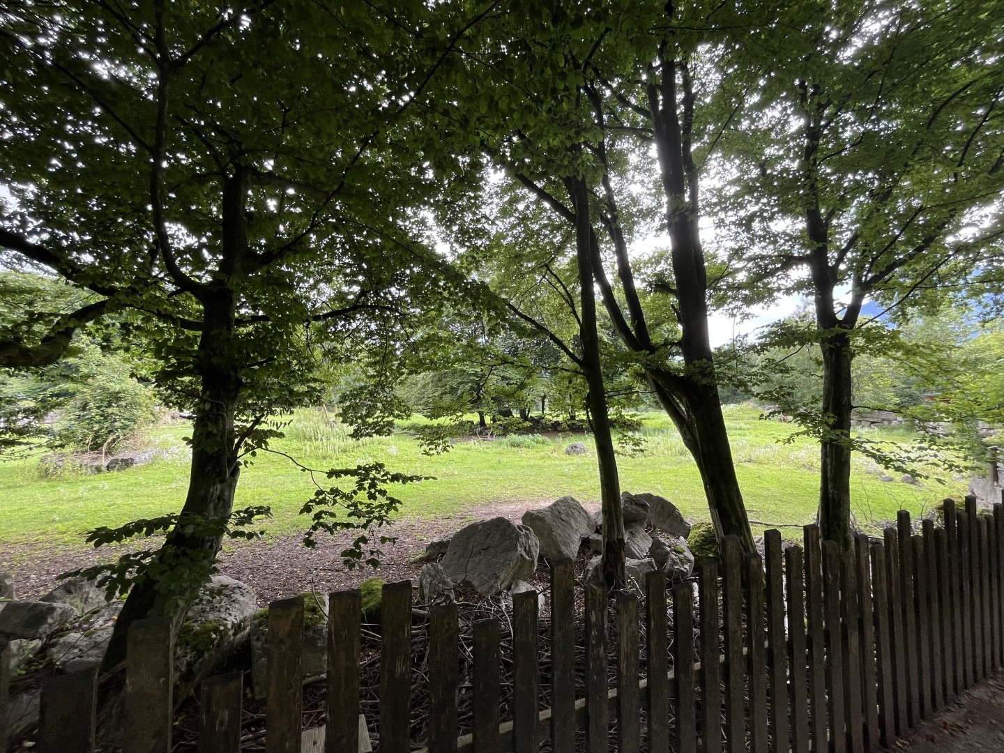 View of savannah 13.7.25