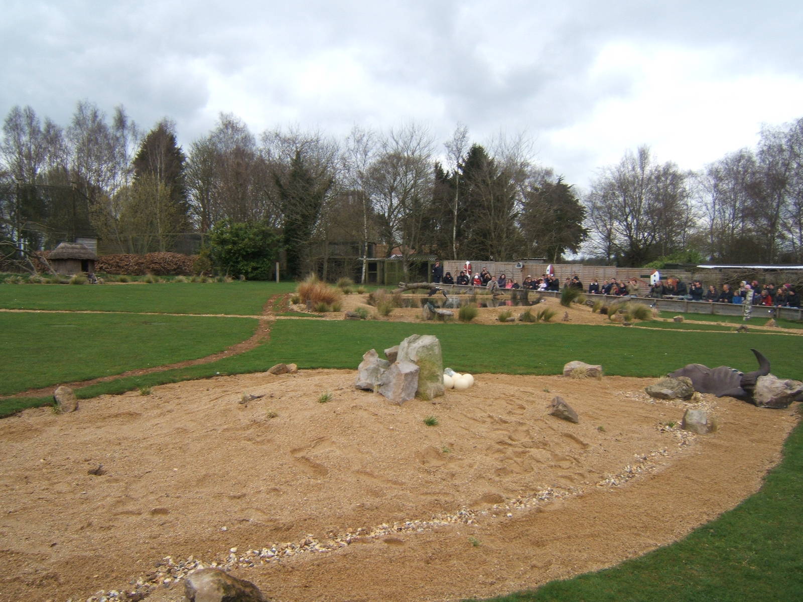 View of Savannah Arena