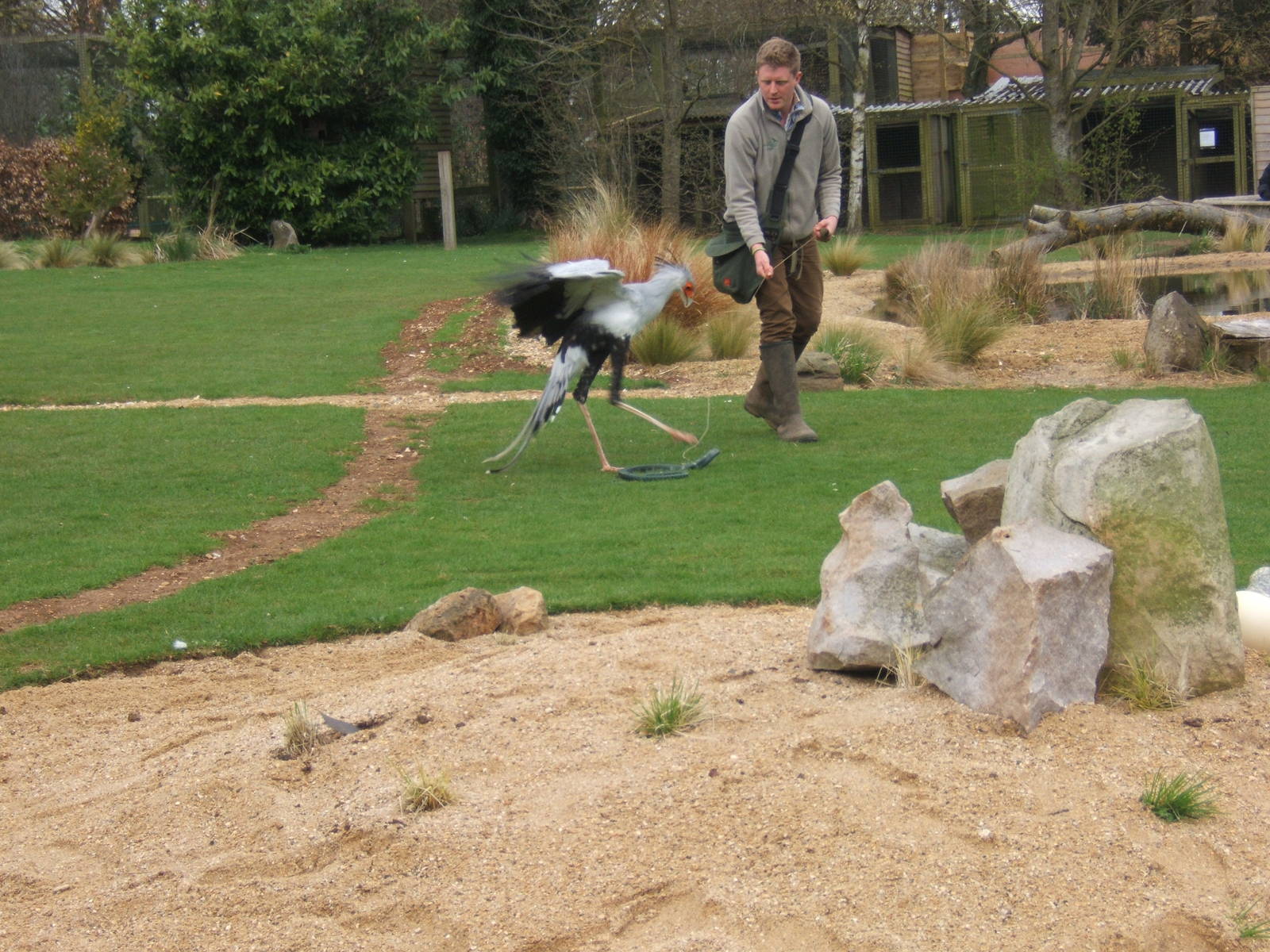 View of Savannah Arena