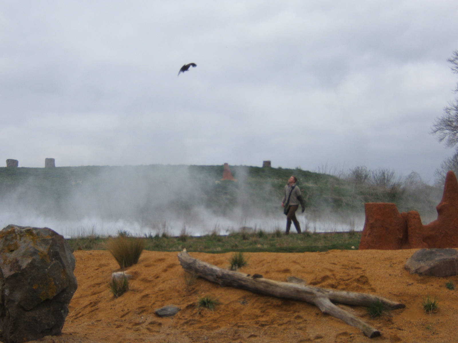 View of Savannah Arena