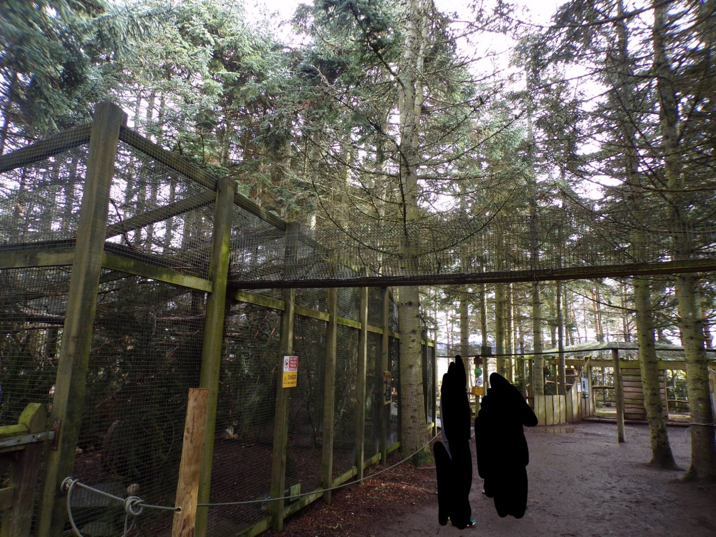 View of Scottish wildcat overhead tunnels 5.4.24