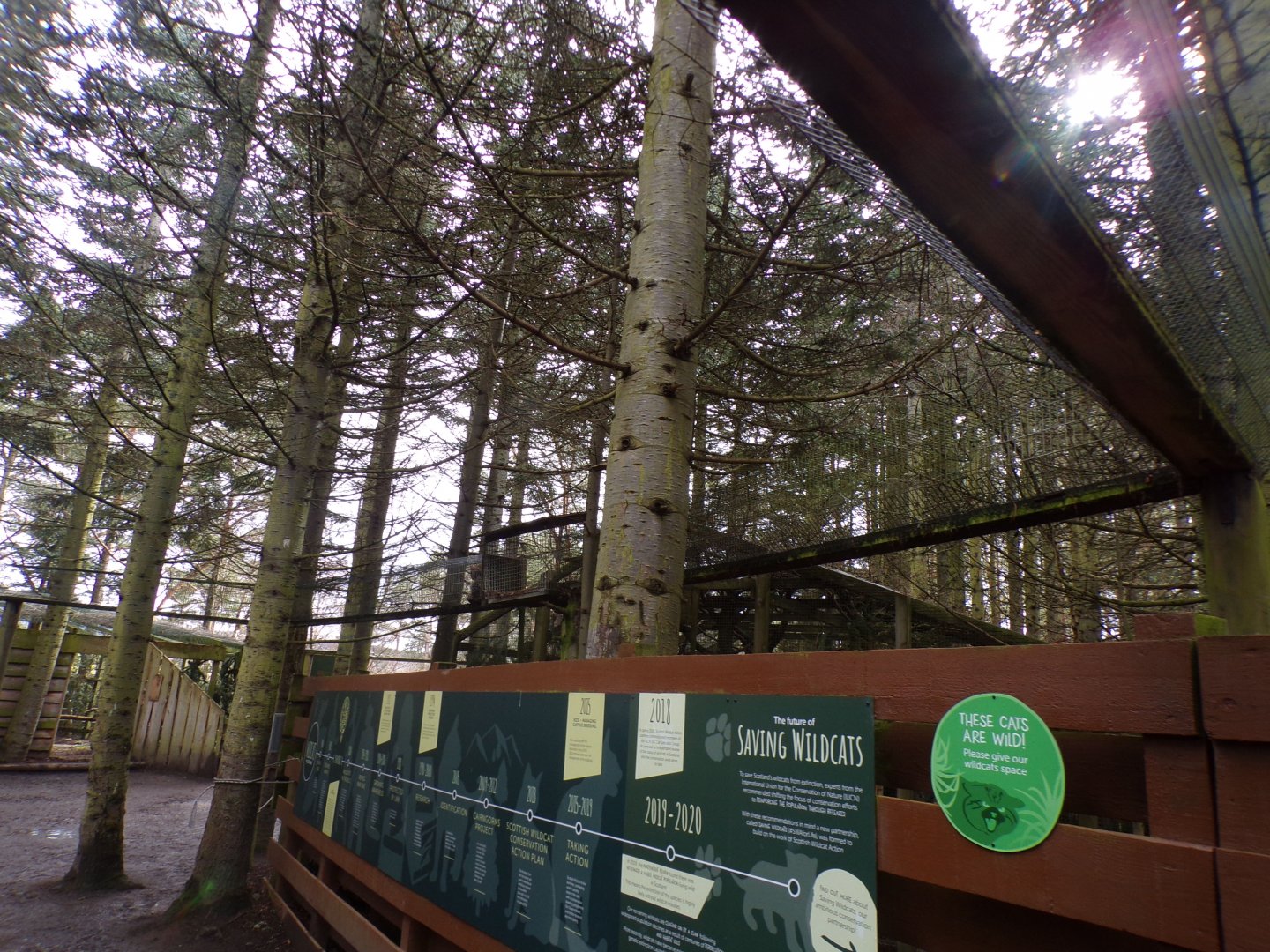 View of Scottish wildcat overhead tunnels 5.4.24