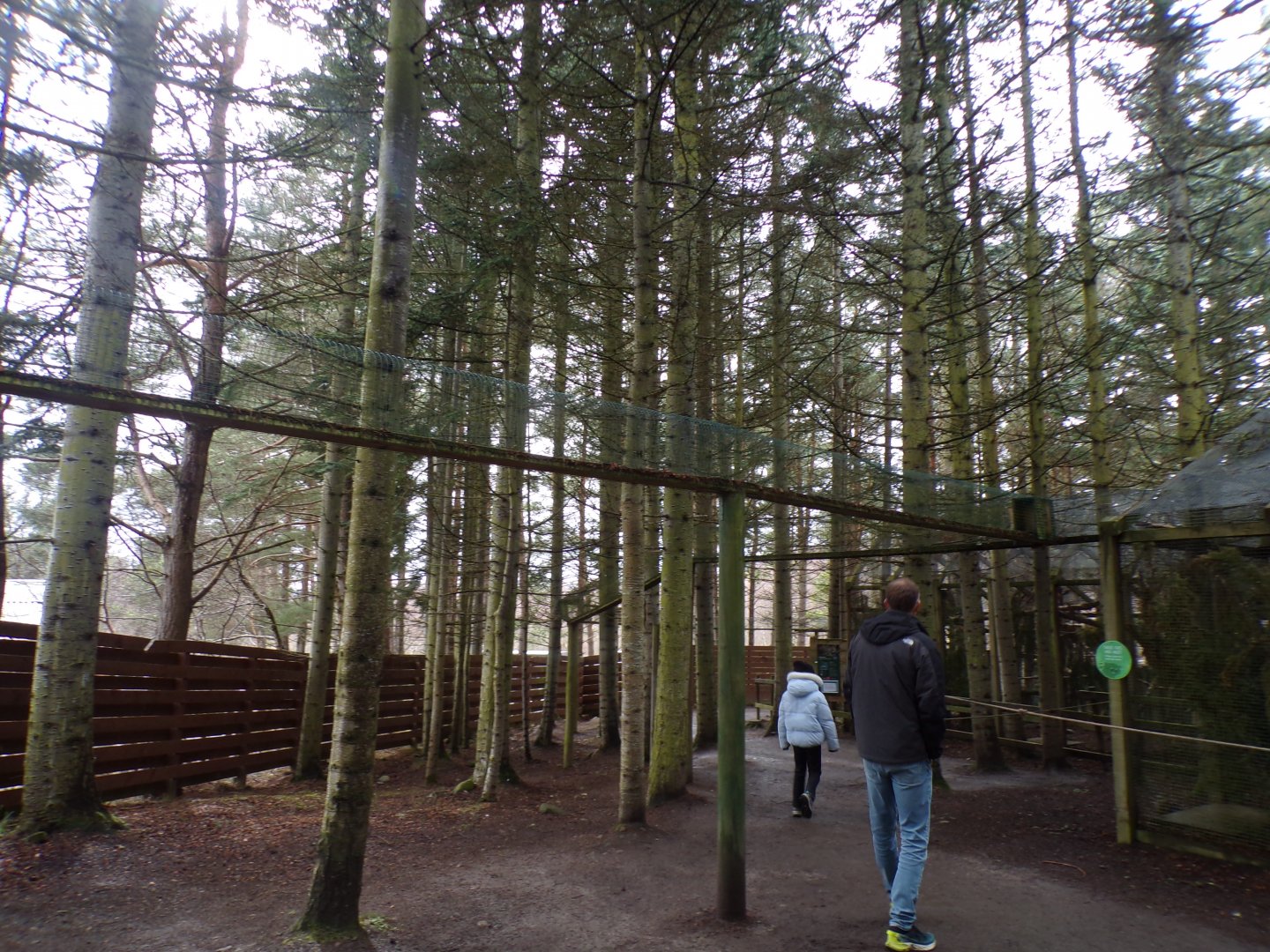 View of Scottish wildcat overhead tunnels 5.4.24