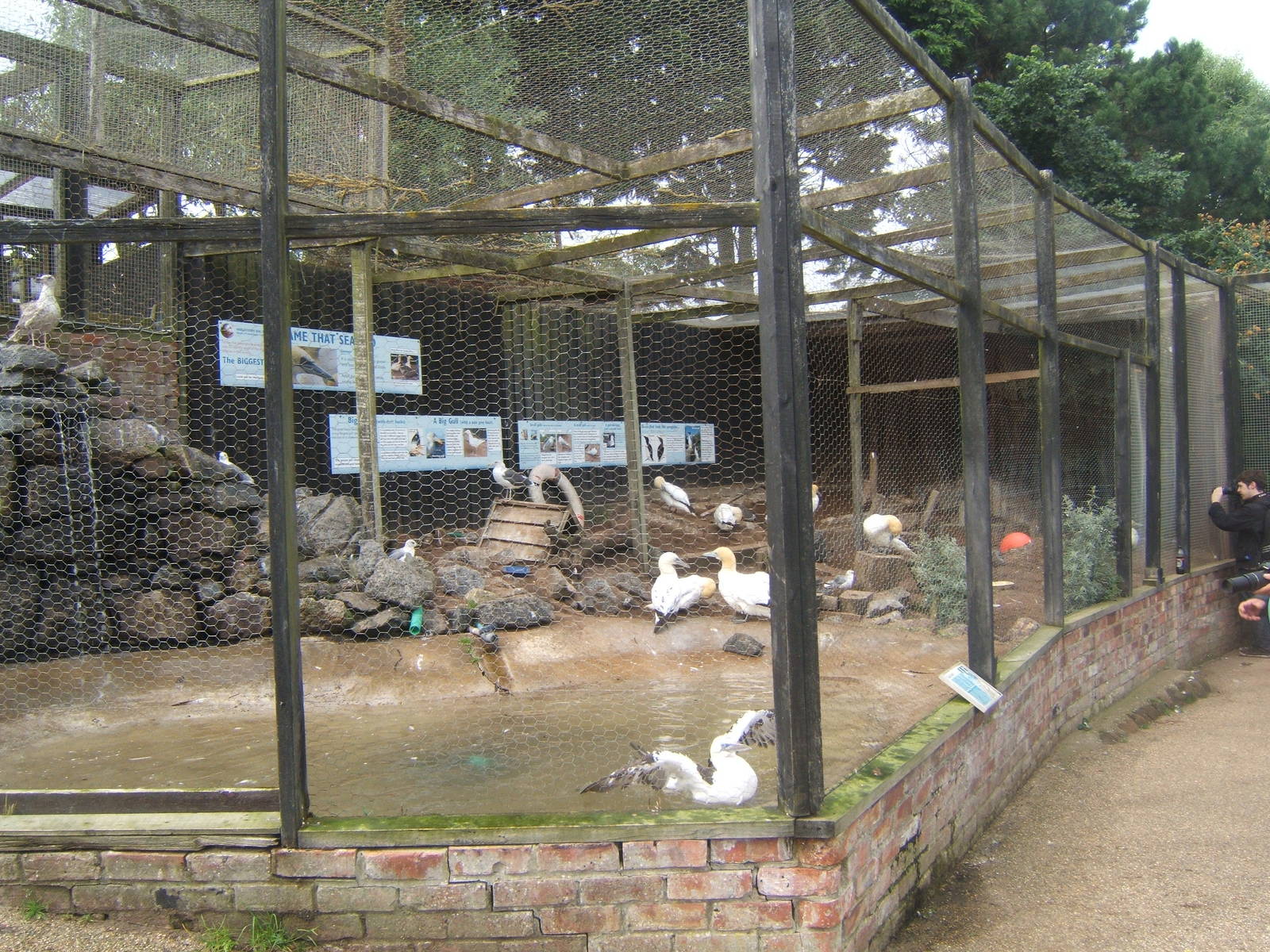 View of Sea Bird Aviary