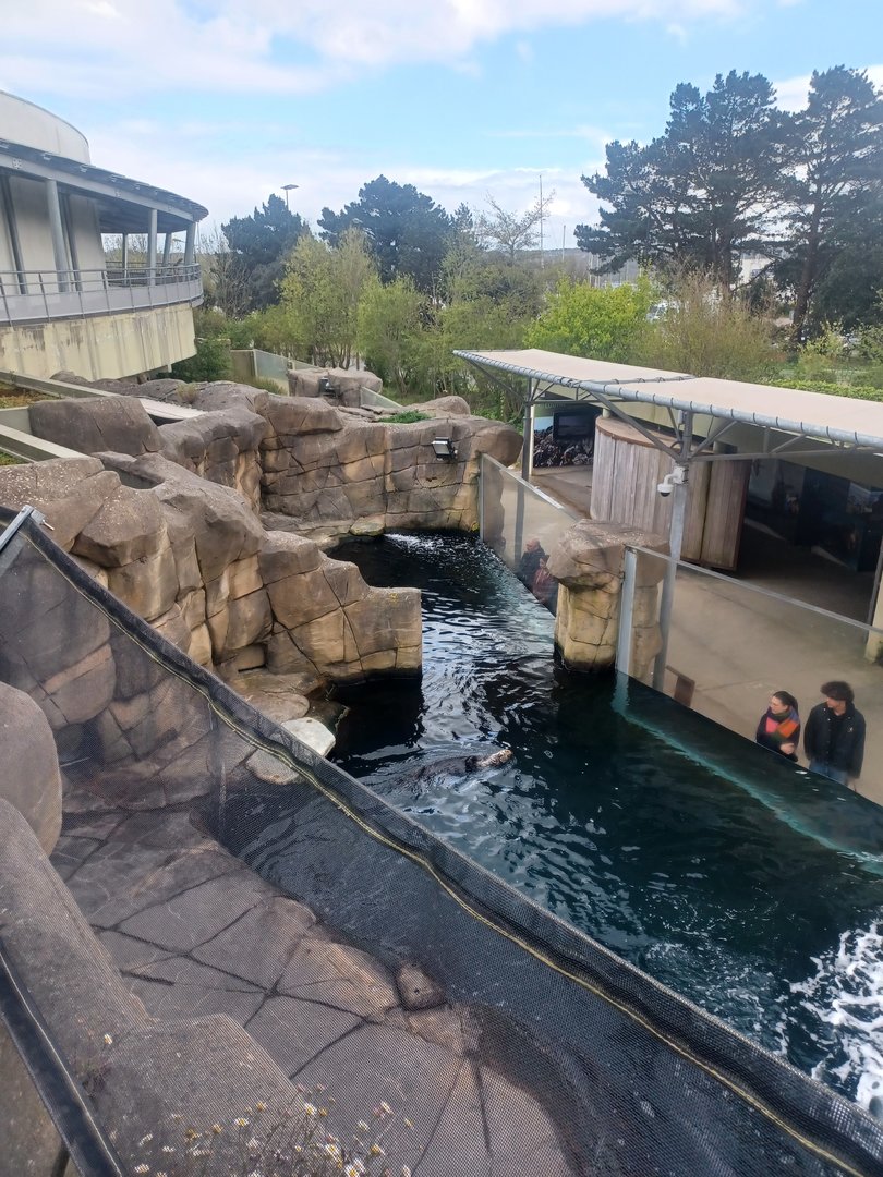 View of sea otter pools