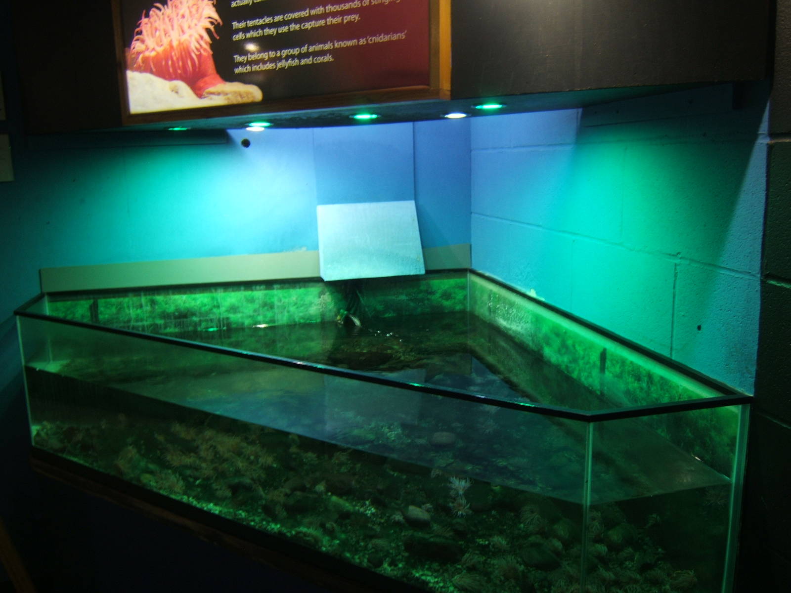 View of Sea Water tank