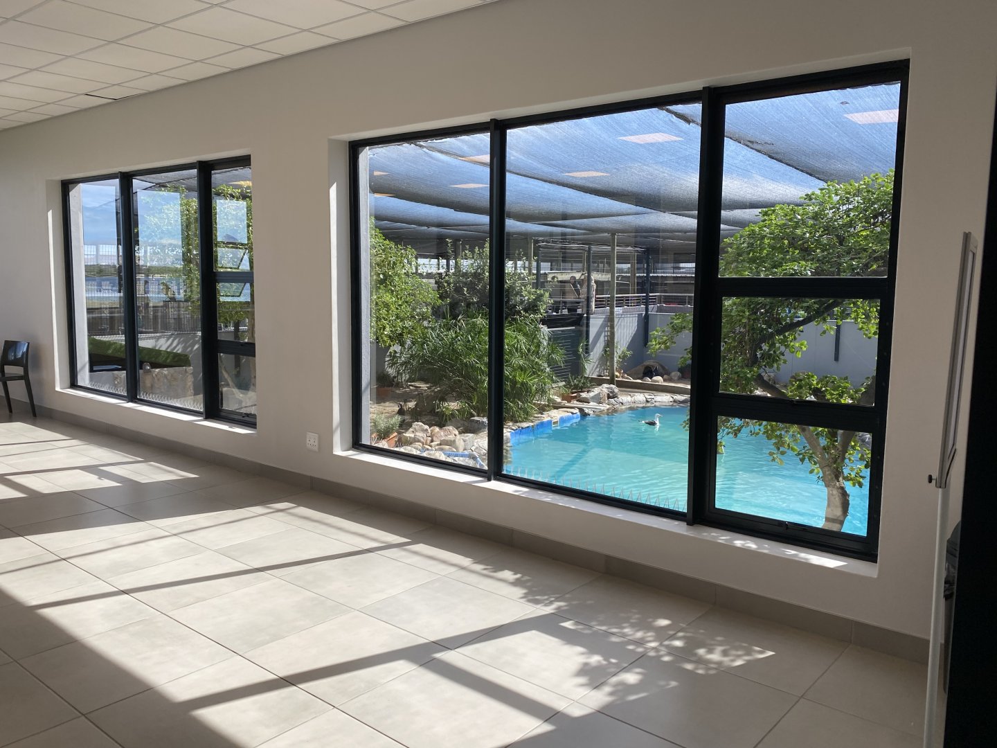 View of seabird enclosure from education room