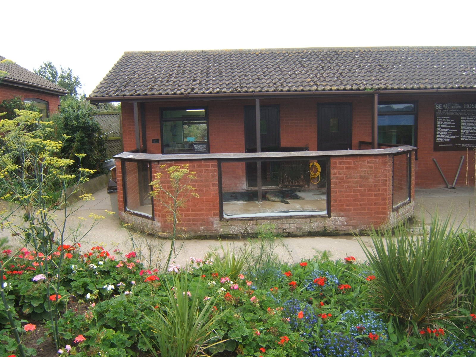 View of Seal Hospital