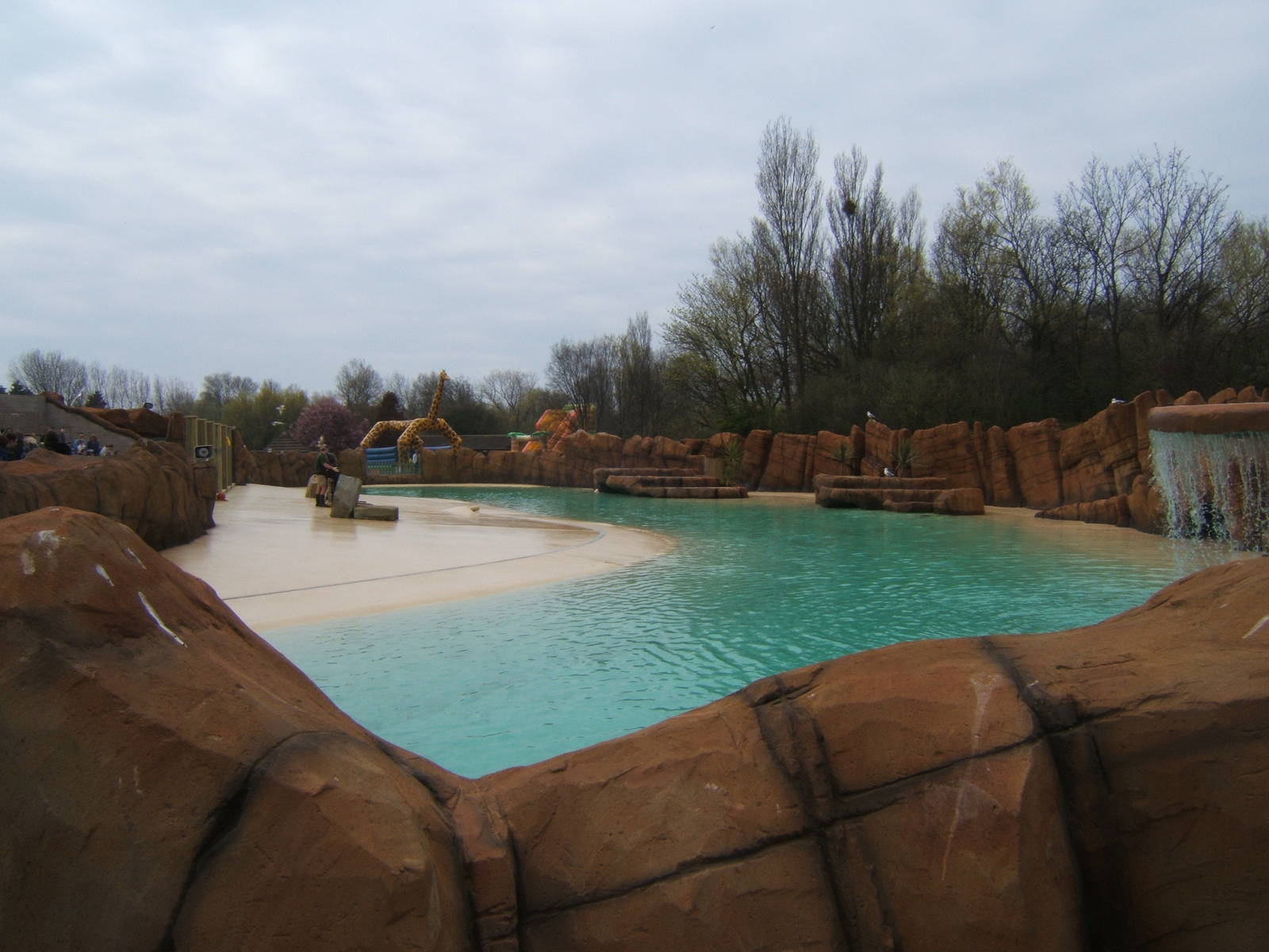 View of Sealion pool